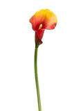 12 Pieces PVC Calla Lily Stem I2682