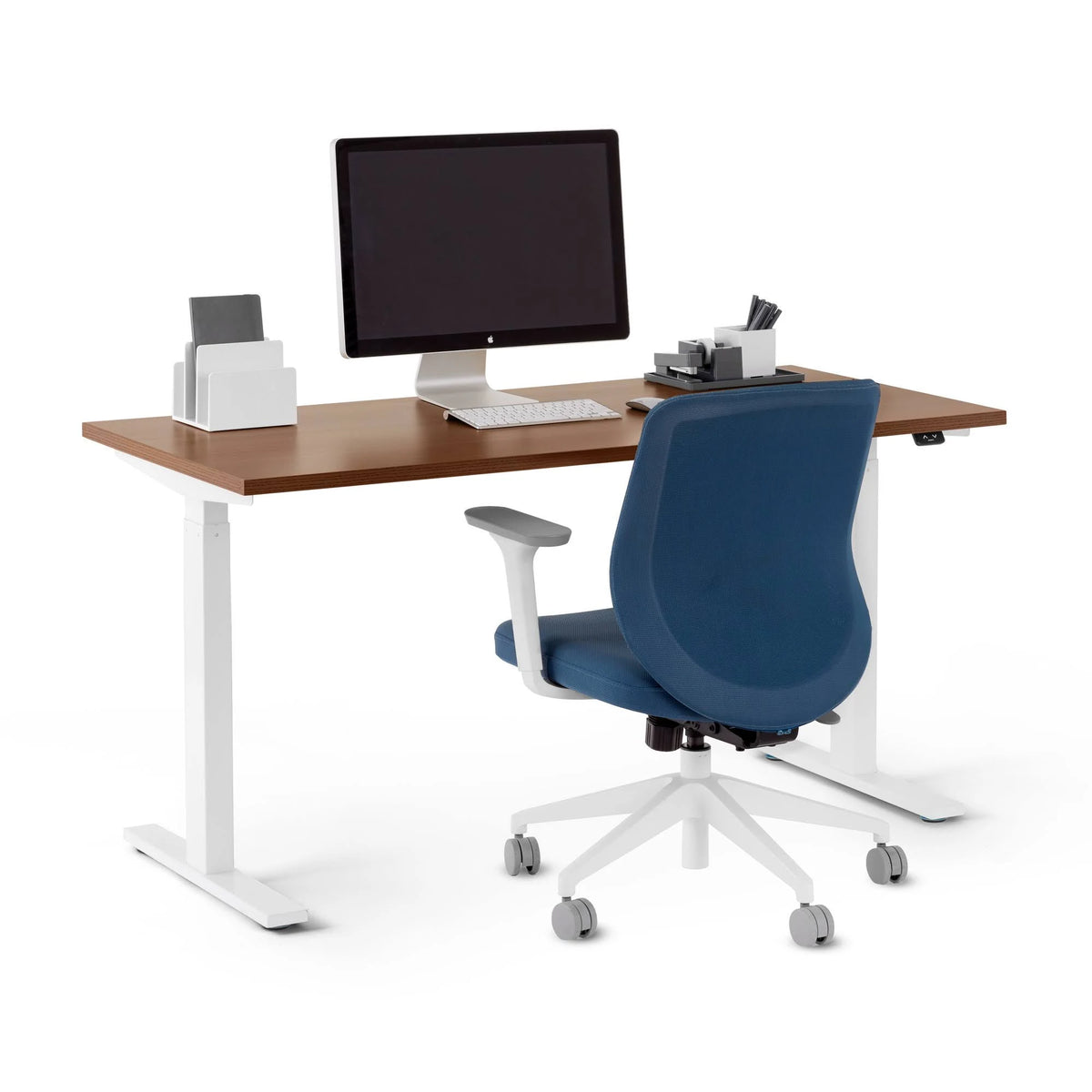 Walnut Adjustable Height Sit-Stand Single Desk R73604