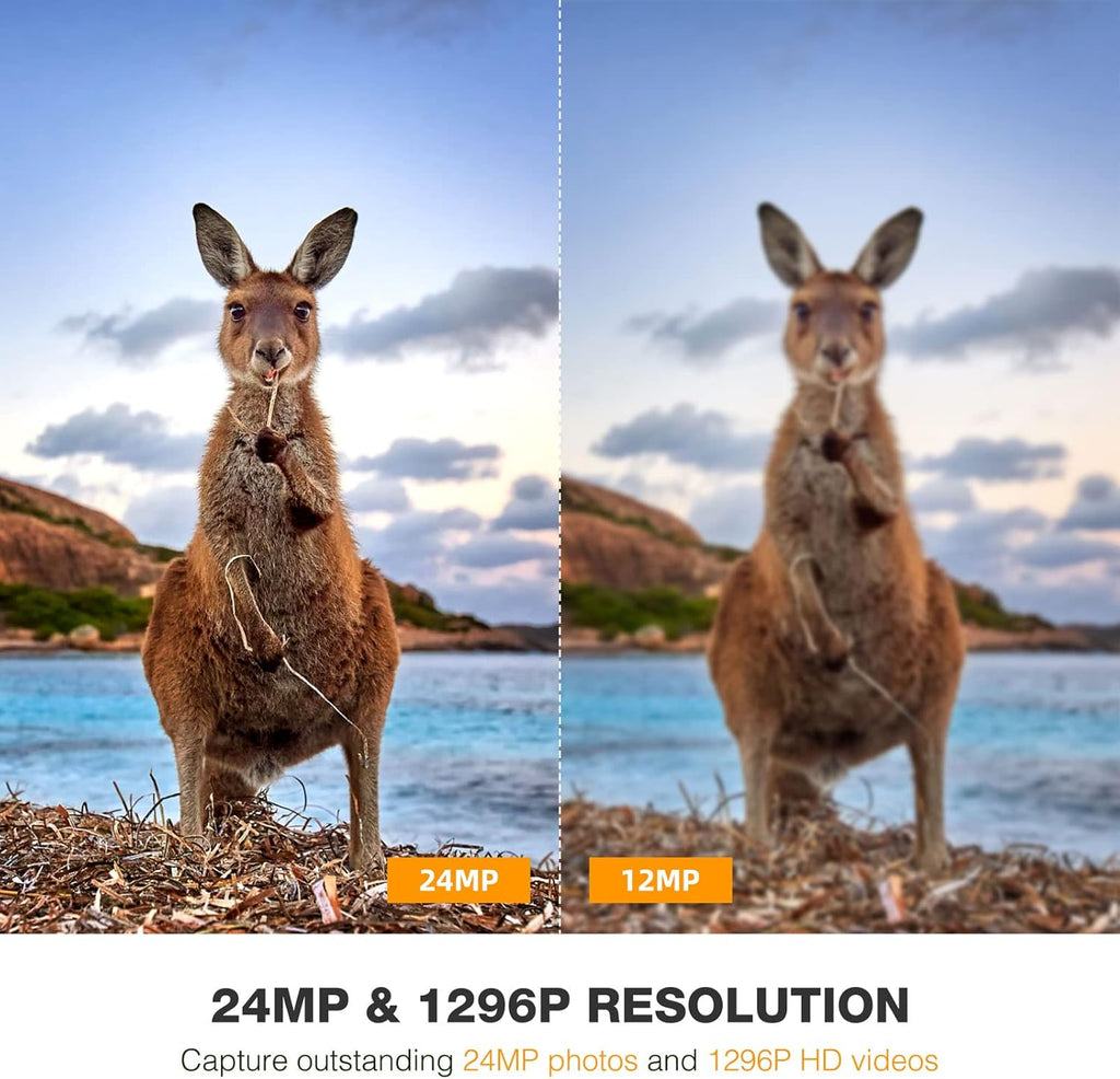 WiFi Trail Camera 24MP 1296P Game Camera with Night Vision Motion Detection IP66 Waterproof Wildlife Cam M430