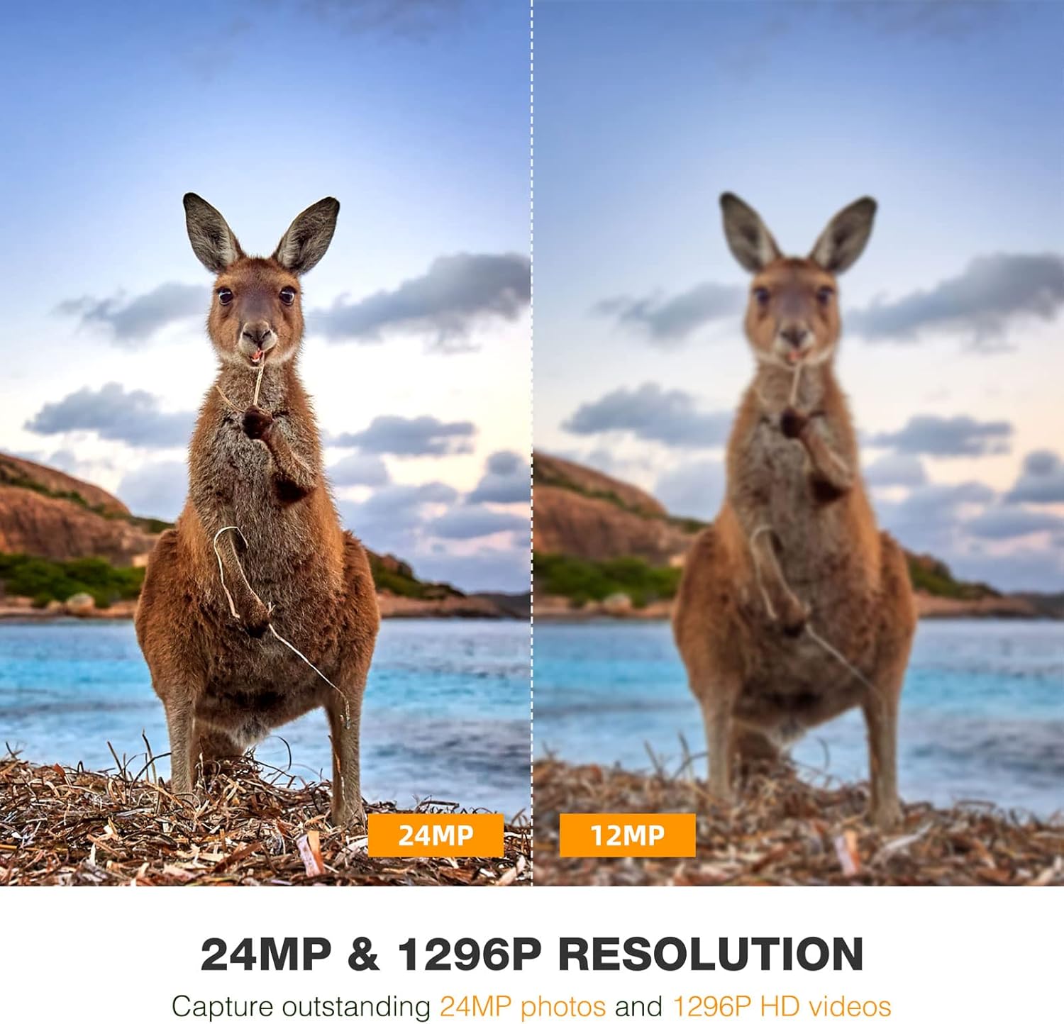 WiFi Trail Camera 24MP 1296P Game Camera with Night Vision Motion Detection IP66 Waterproof Wildlife Cam M430