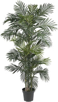 6.5ft Golden Cane Palm Silk Tree O952