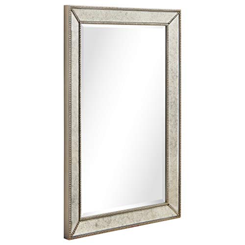 1"-Beveled Center Antique Mirror, Solid Wood Frame, 24" x 54", Champagne Y61755