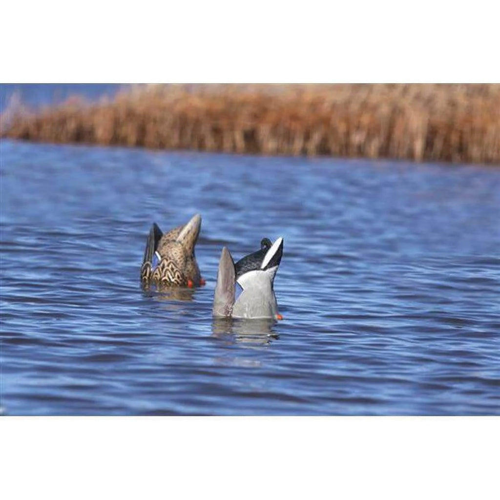 Pair Mallards Butt-Up Duck Decoy T5826