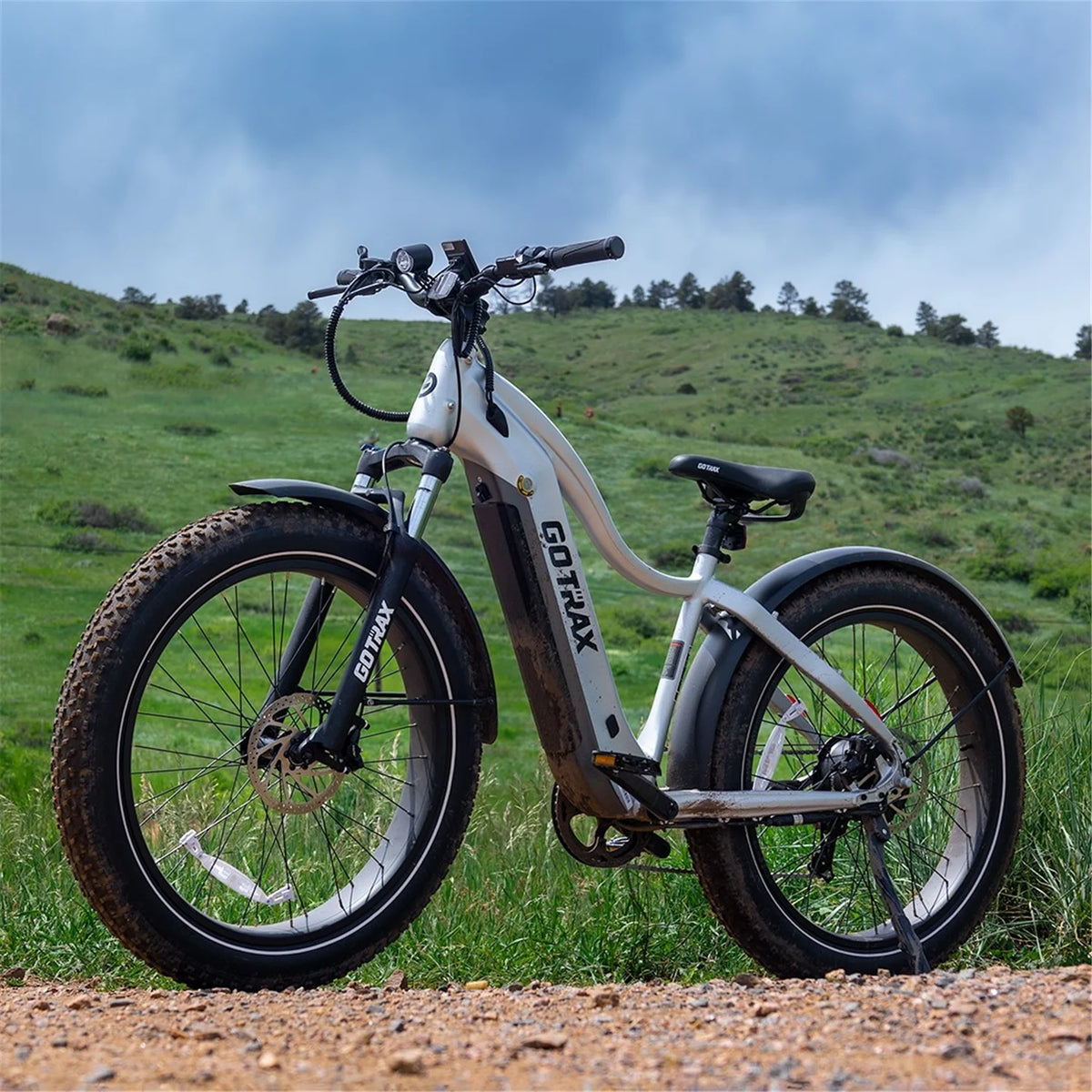 Silver 750W 48V 26" x 4" Fat Tire Electric Mountain Bike B4602