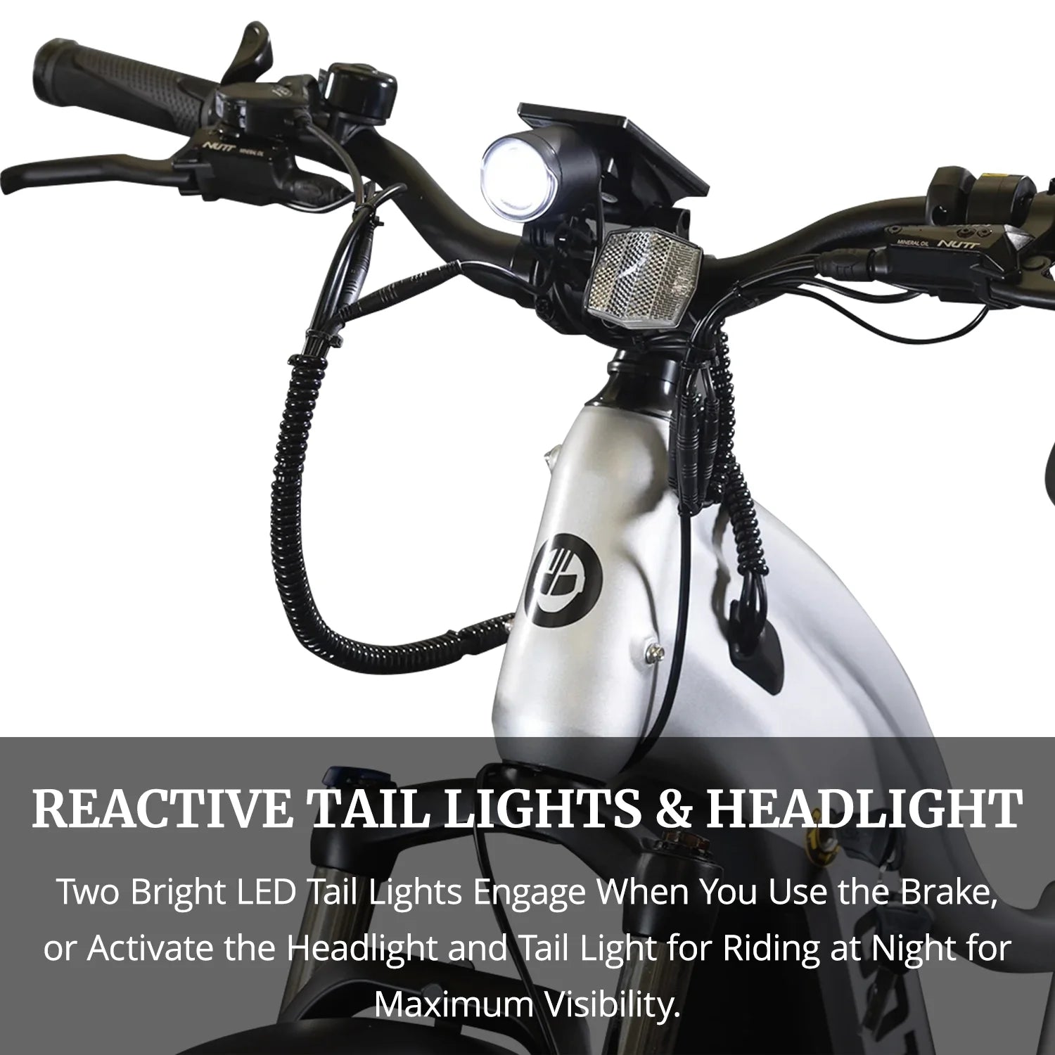 Silver 750W 48V 26" x 4" Fat Tire Electric Mountain Bike B4602