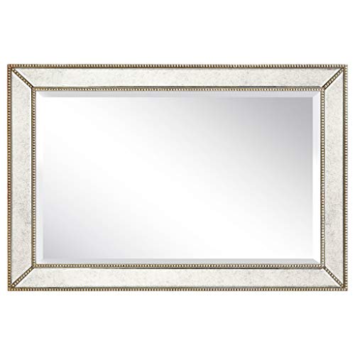 1"-Beveled Center Antique Mirror, Solid Wood Frame, 24" x 54", Champagne Y61755