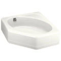 Vertical Spray Bidet Faucet with Lever Handles A253842