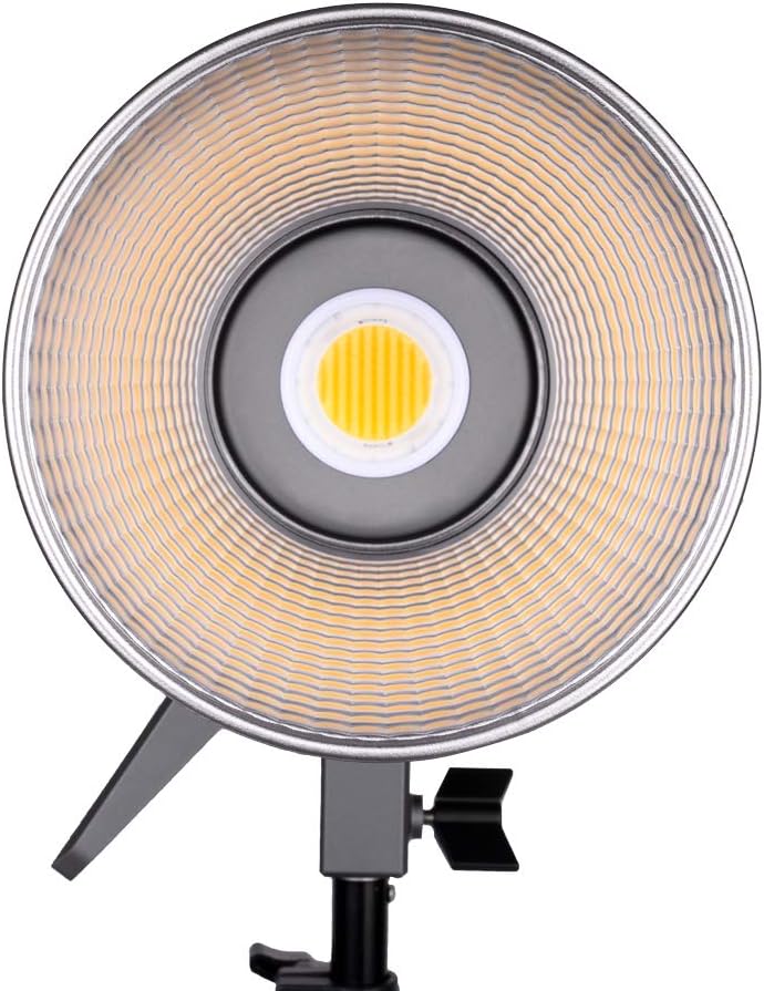 Bi-Color LED Video Light, 200W 2700-6500k X835495