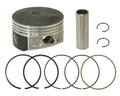 Piston Kit V3079