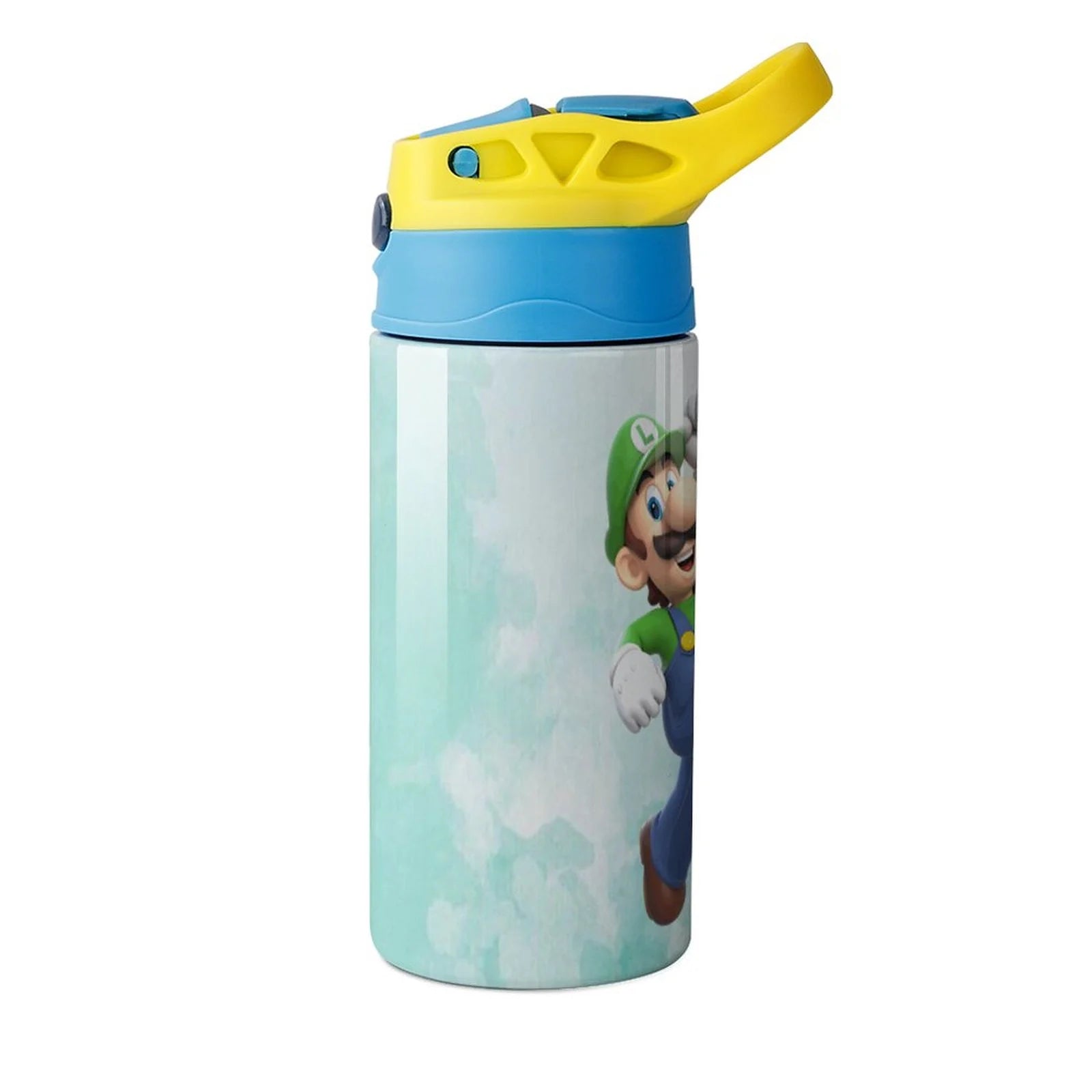 Insulated Stainless Steel Water Bottle with Straw L271