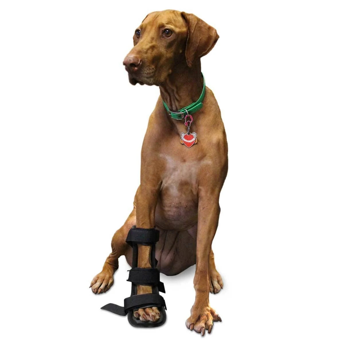 Dog Front Leg Splint with Foam Inserts L539