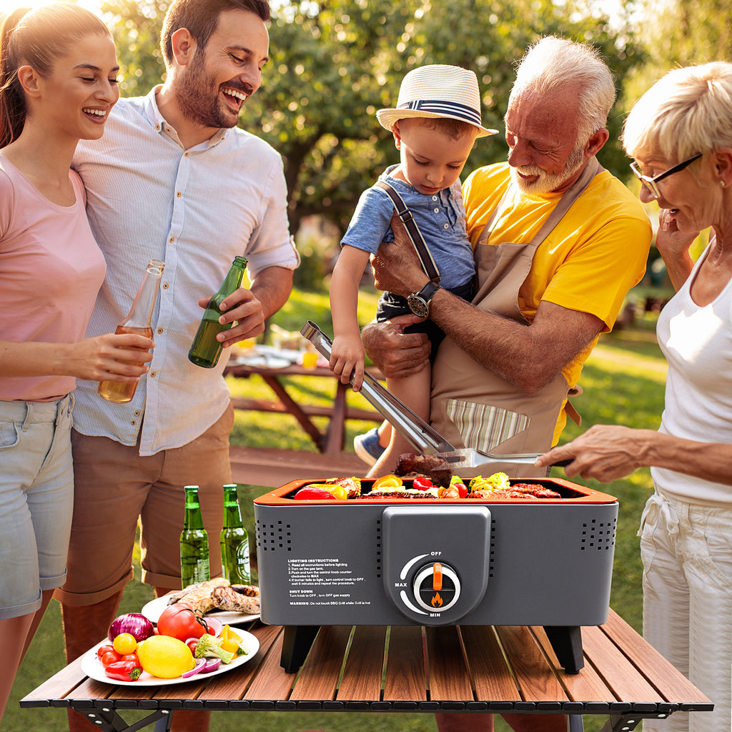 Portable Propane Grill with Gas Regulator & Adaptor, 2 in 1 Charcoal and Gas Grill T888