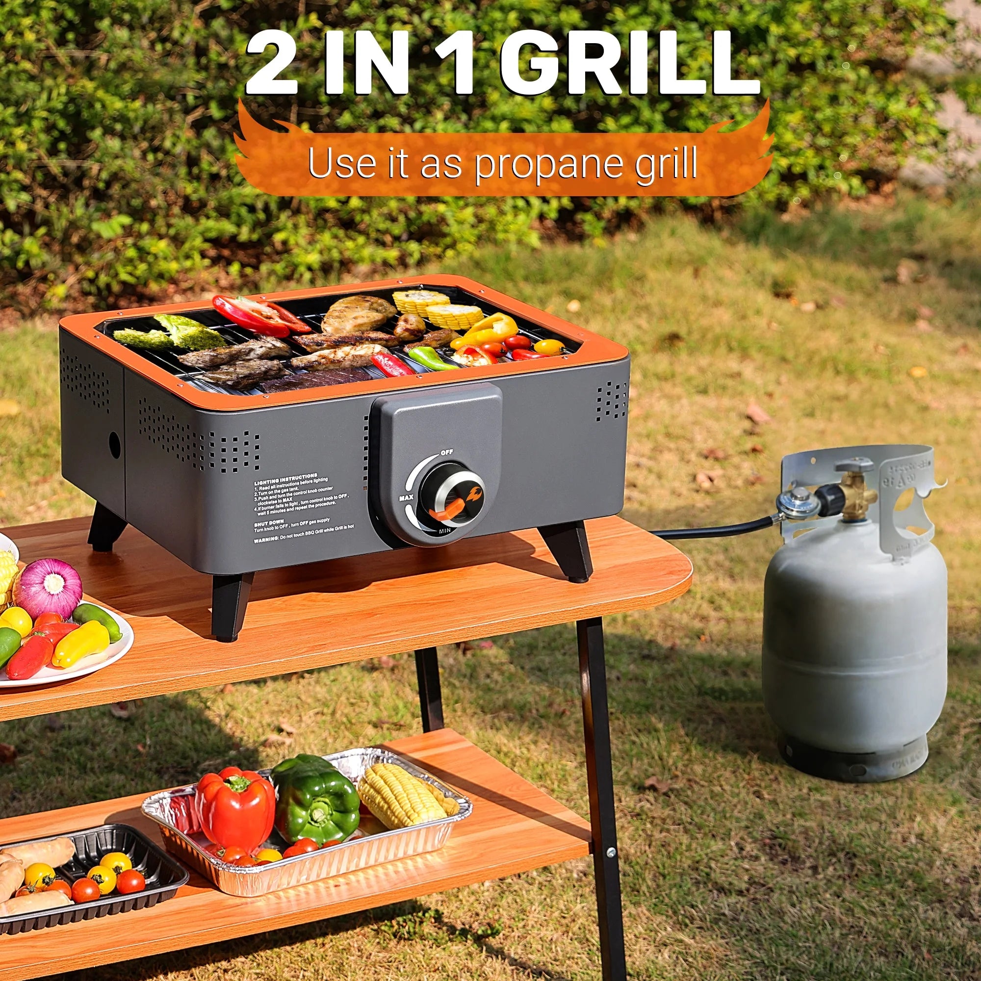 Portable Propane Grill with Gas Regulator & Adaptor, 2 in 1 Charcoal and Gas Grill T888