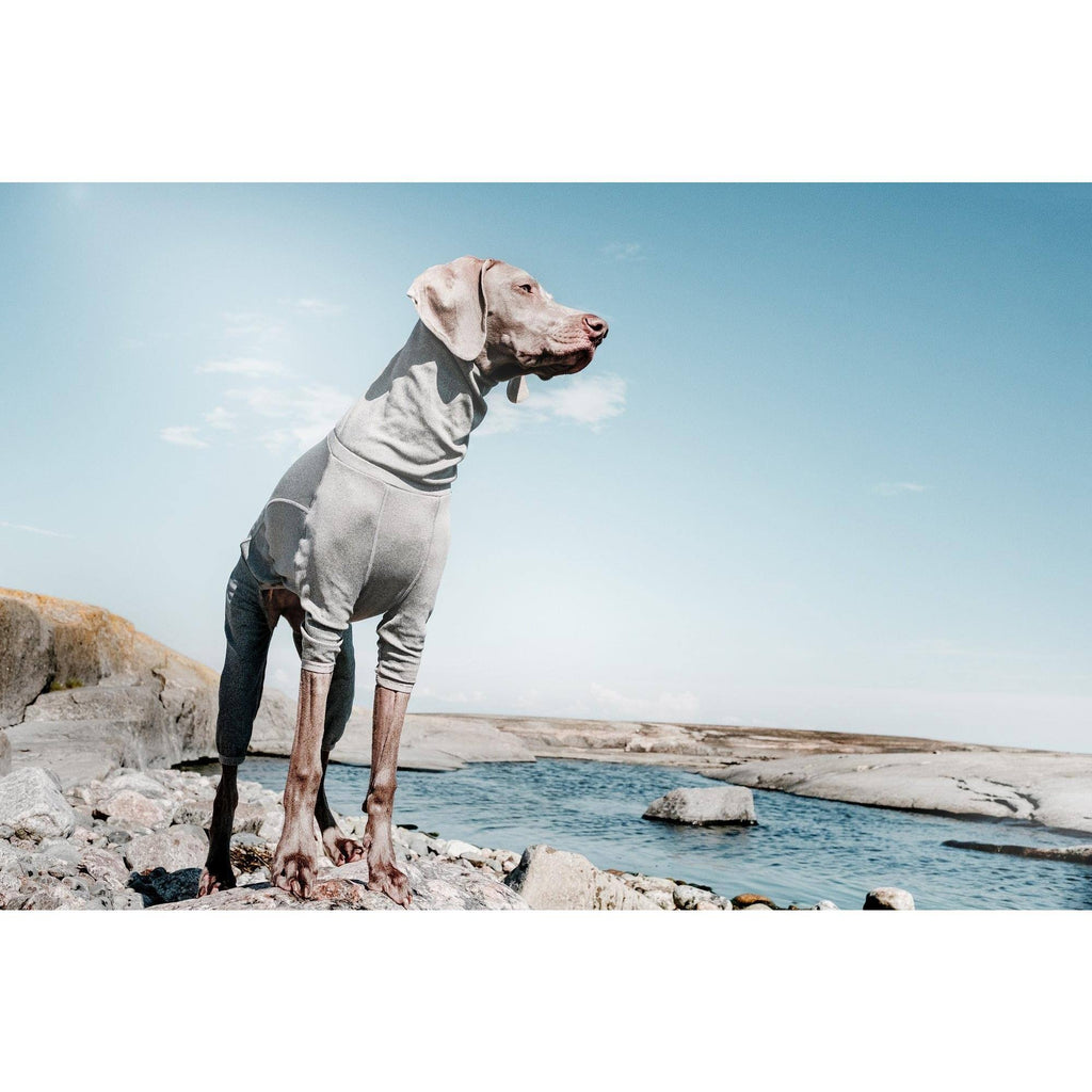 Carbon Grey Dog Body Warmer H5454