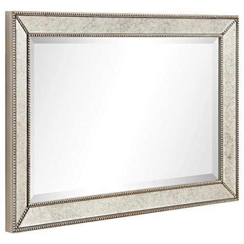1"-Beveled Center Antique Mirror, Solid Wood Frame, 24" x 54", Champagne Y61755