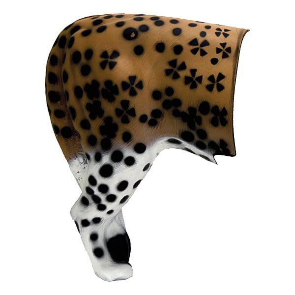 African Leopard Rear I616942