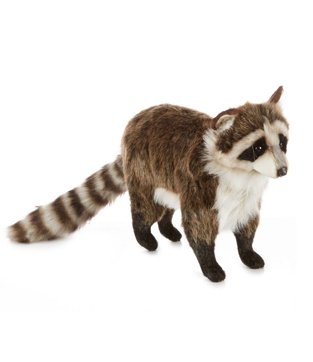 Standing Racoon Plush L53484