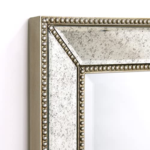 1"-Beveled Center Antique Mirror, Solid Wood Frame, 24" x 54", Champagne Y61755