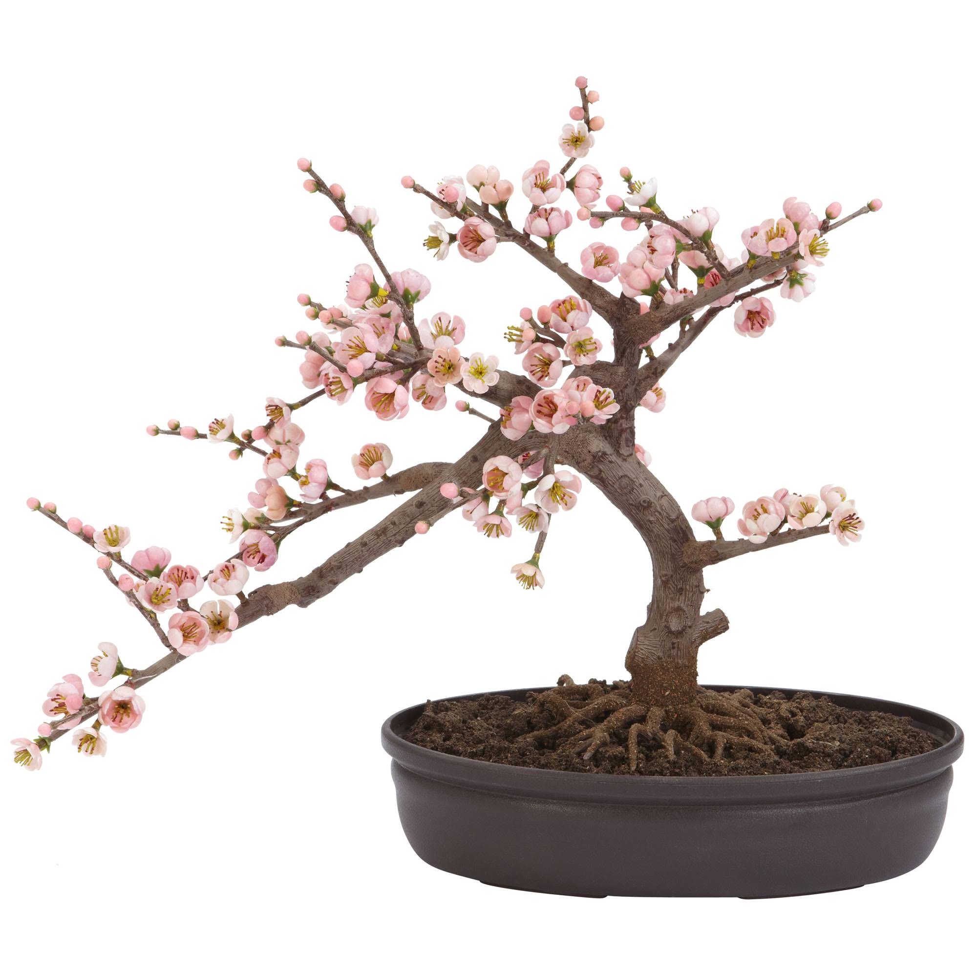 Cherry Blossom Bonsai Silk Tree I659