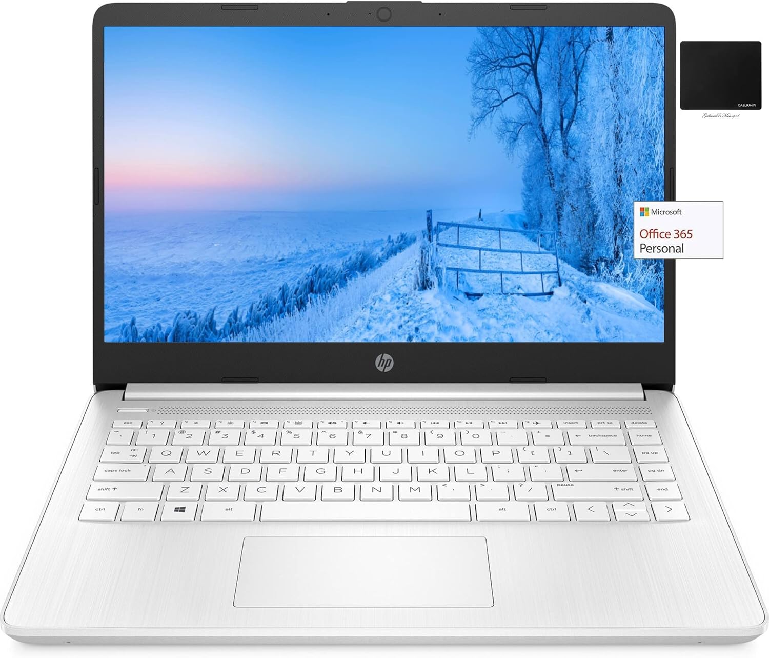 14" HD Laptop, AMD Dual-Core CPU, 8GB RAM, 192GB Storage, Webcam, Win 10 Q446