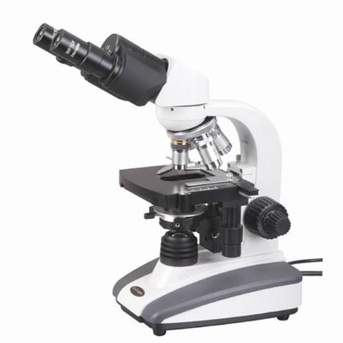 40X-1600X Binocular Biological Compound Microscope S24601