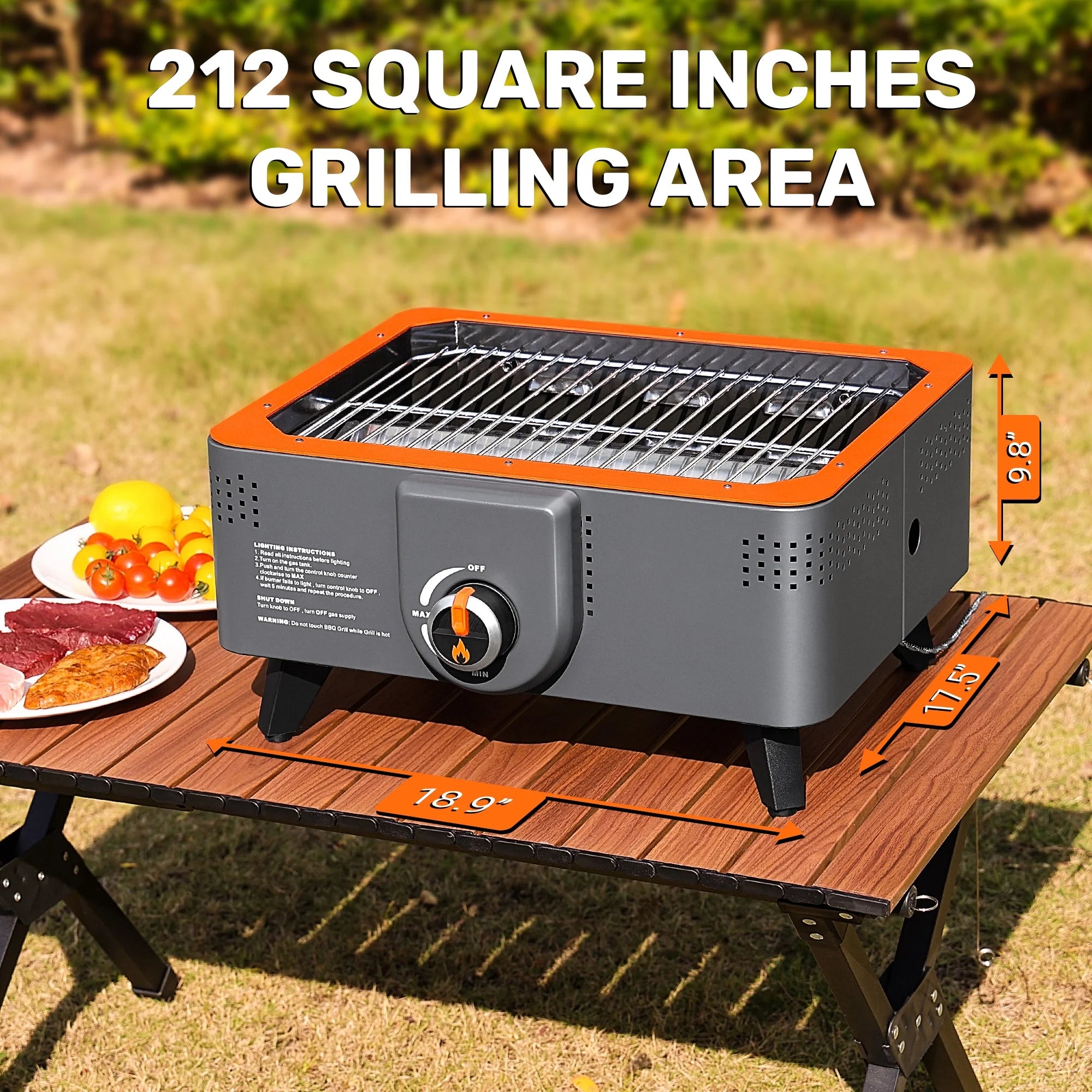 Portable Propane Grill with Gas Regulator & Adaptor, 2 in 1 Charcoal and Gas Grill T888