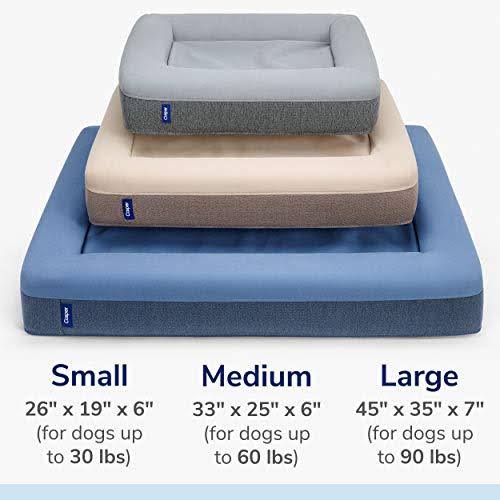 Blue Large Memory Foam Dog Bed U9349