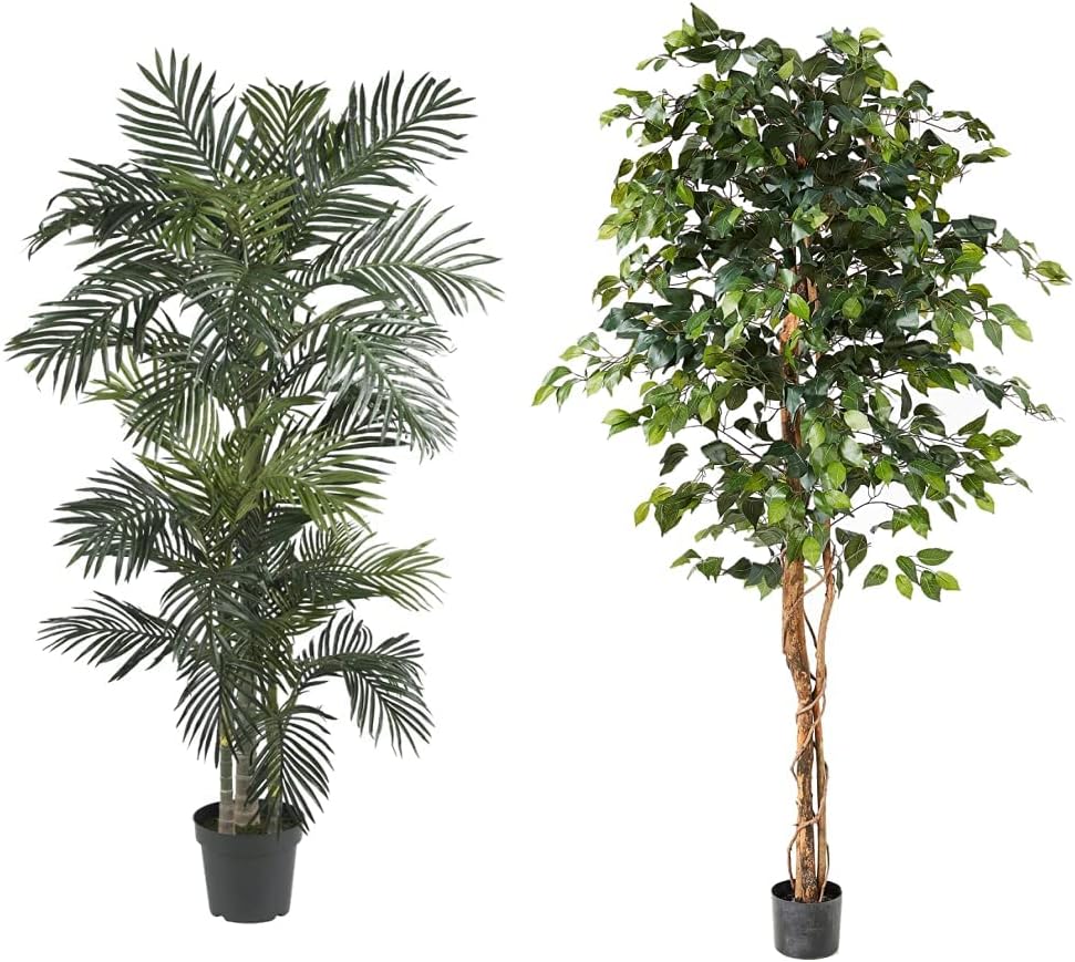 6.5ft Golden Cane Palm Silk Tree O952