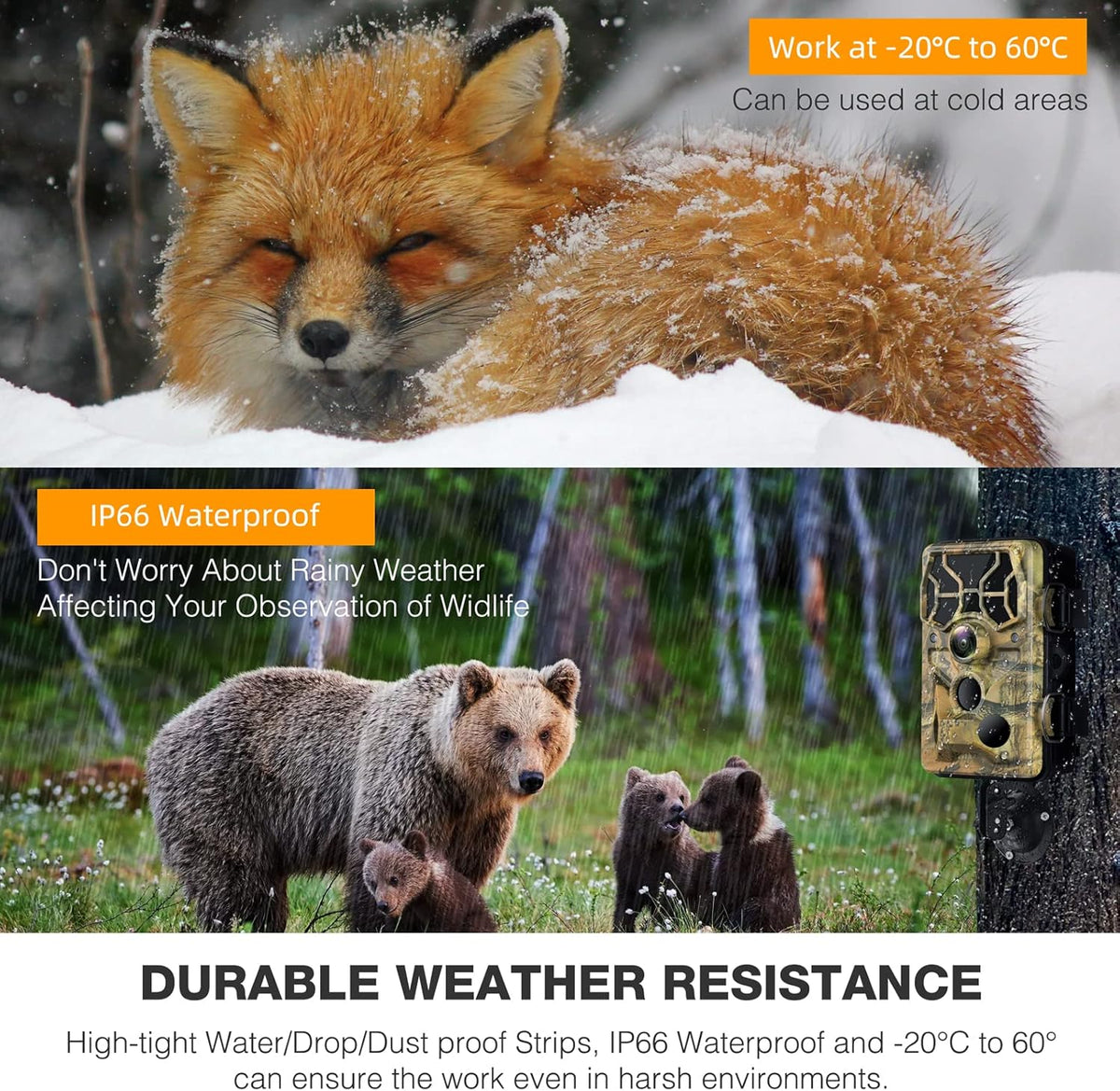 WiFi Trail Camera 24MP 1296P Game Camera with Night Vision Motion Detection IP66 Waterproof Wildlife Cam M430