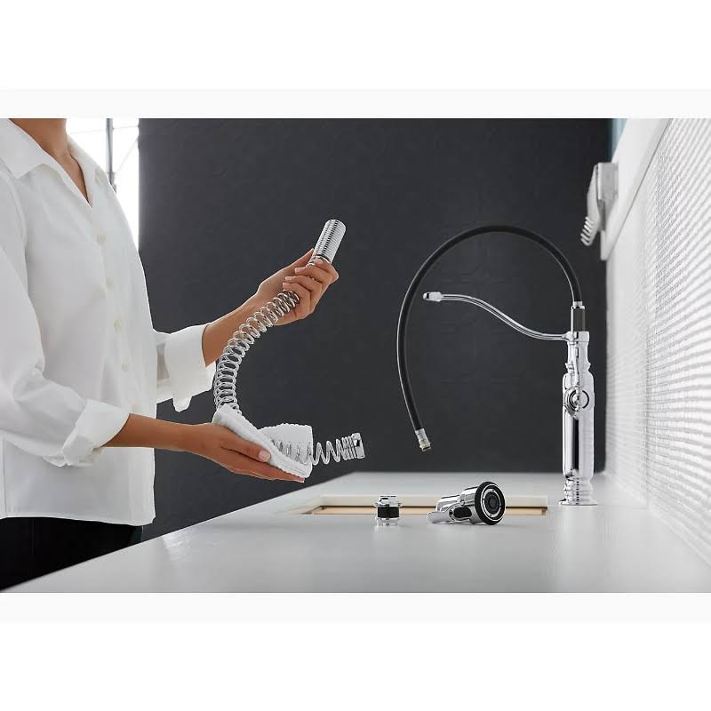 Vibrant Stainless Kitchen Sink Faucet D20727