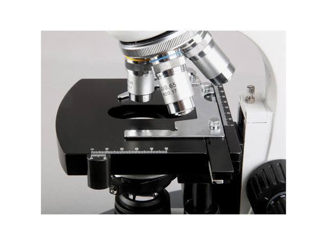 40X-1600X Binocular Biological Compound Microscope S24601