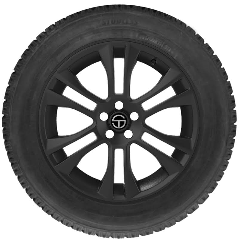 225/45R17 91T Winter Tire B293
