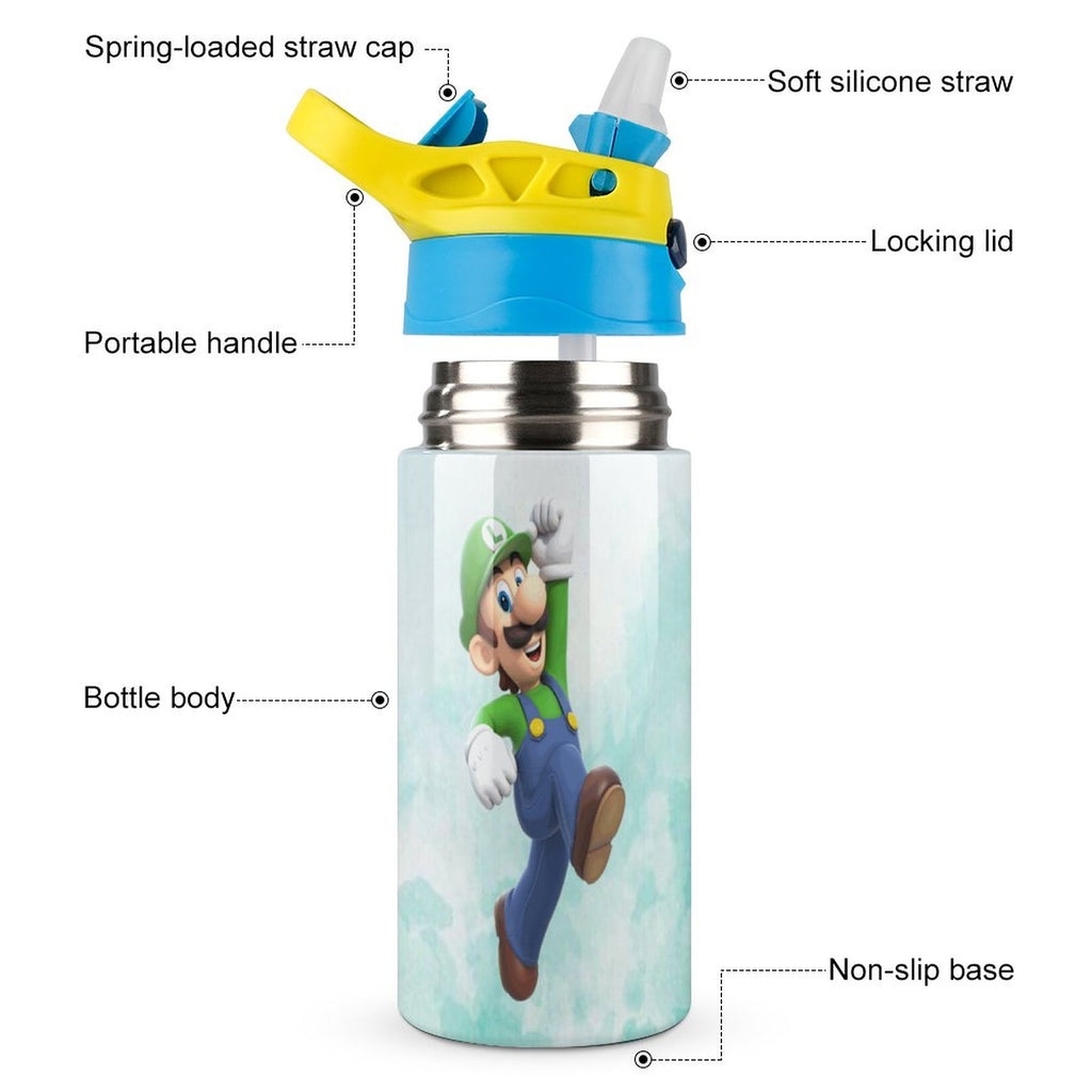 Insulated Stainless Steel Water Bottle with Straw L271