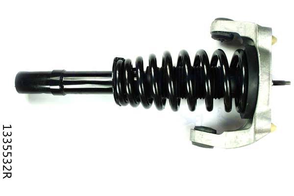 Suspension Strut and Coil Spring Assembly Z7288