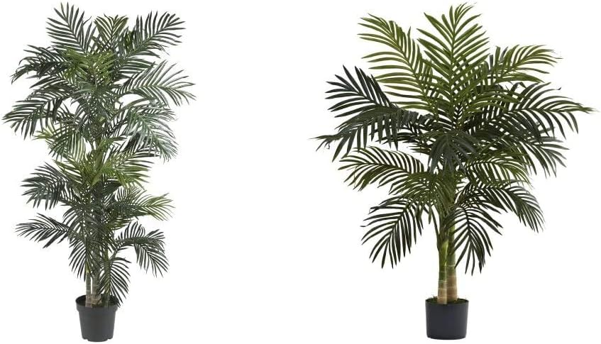 6.5ft Golden Cane Palm Silk Tree O952