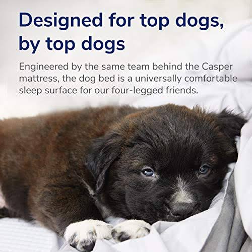 Blue Large Memory Foam Dog Bed U9349